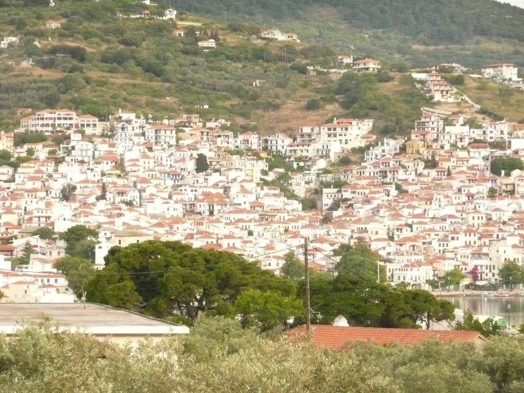 Ferienwohnung Filoxenia Skopelos Exterior foto